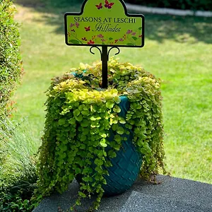 https://seasons-at-leschi-hillsides.seattlehotelsites.com